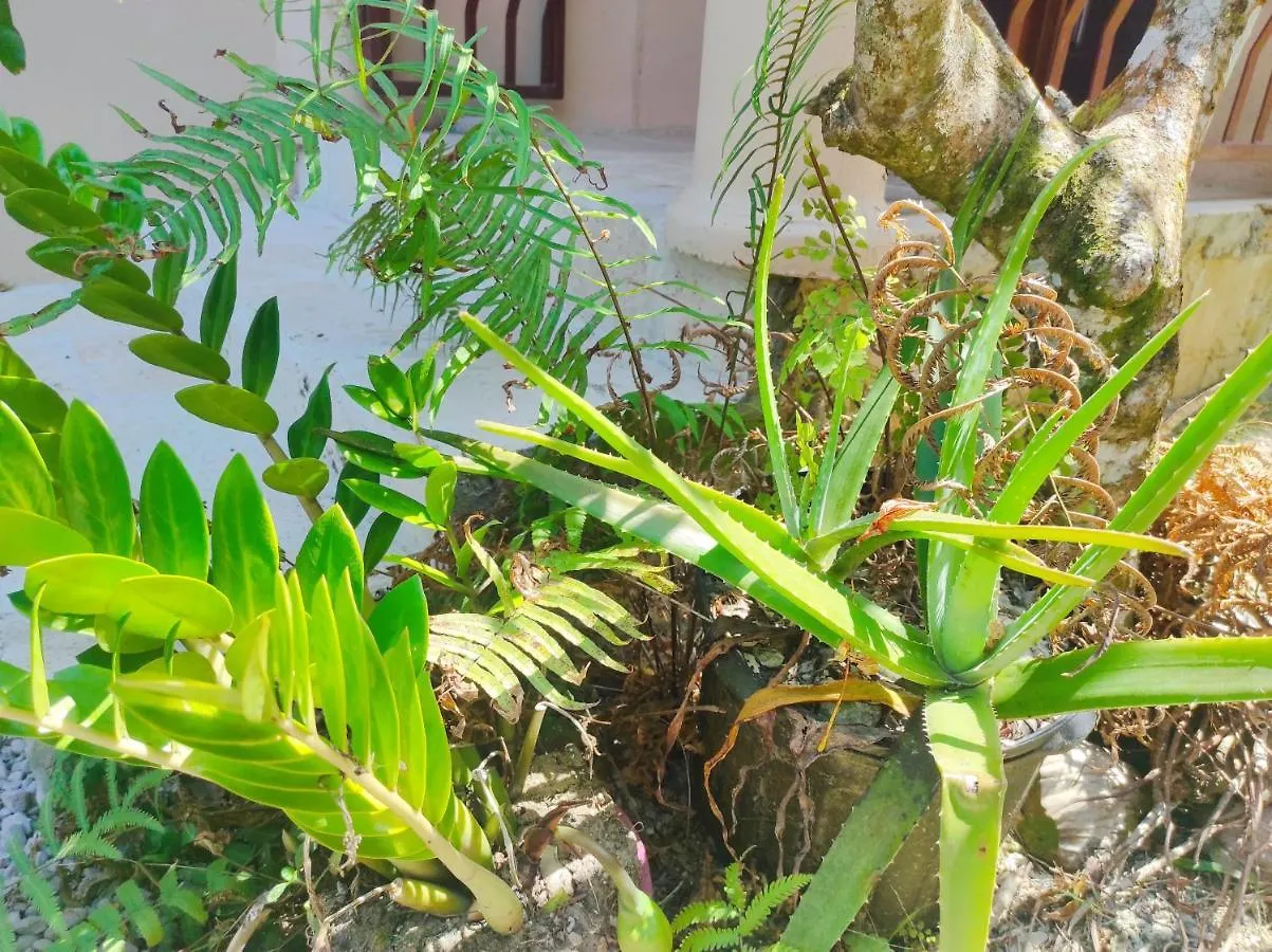 Apartman Tranquille Bogue Village Montego Bay, Jamaica Jamaica